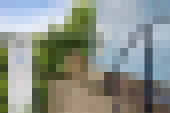 Uitdammer Dorpsstraat 16 Uitdam thumbnail 5