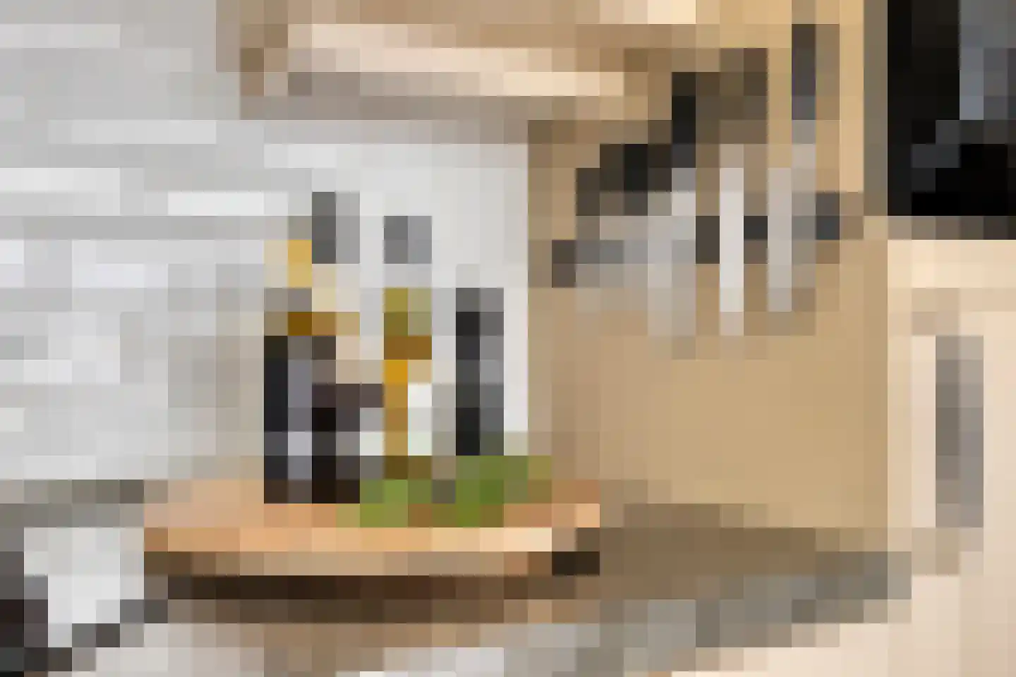 Uitdammer Dorpsstraat 22 Uitdam thumbnail 27