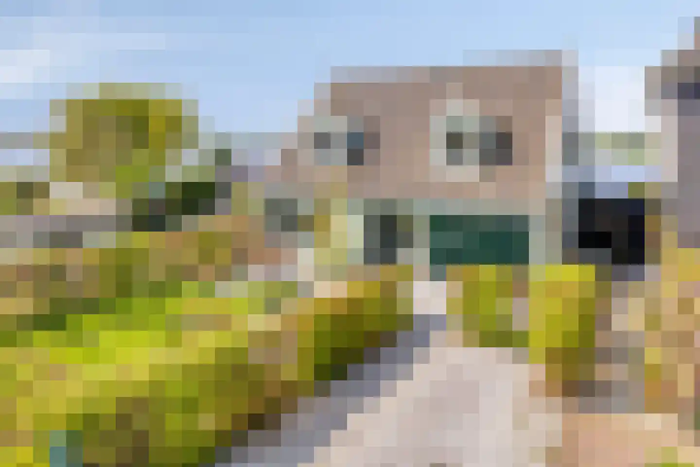 Uitdammer Dorpsstraat 22 Uitdam thumbnail 9