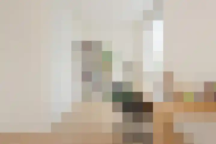 Uitdamstraat 1 Amersfoort thumbnail 20