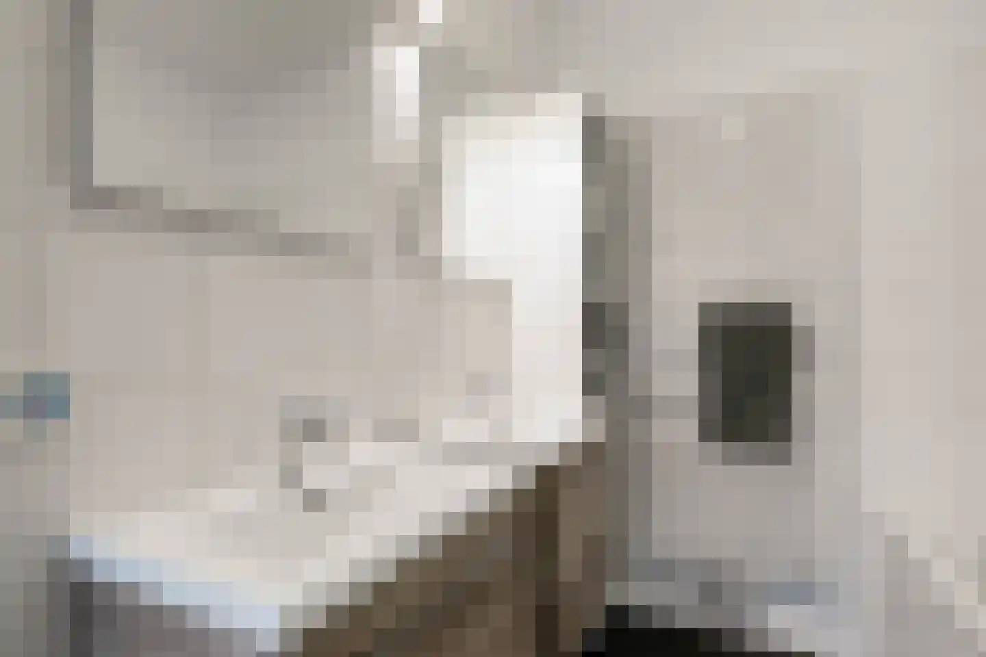 Uitdamstraat 25 Amersfoort thumbnail 41