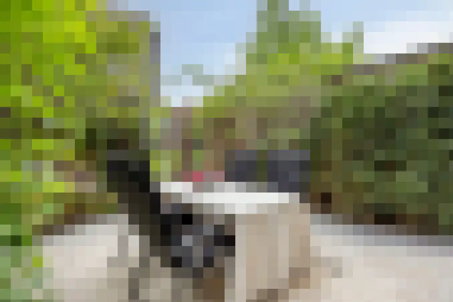 Uitdamstraat 35 Amersfoort thumbnail 34