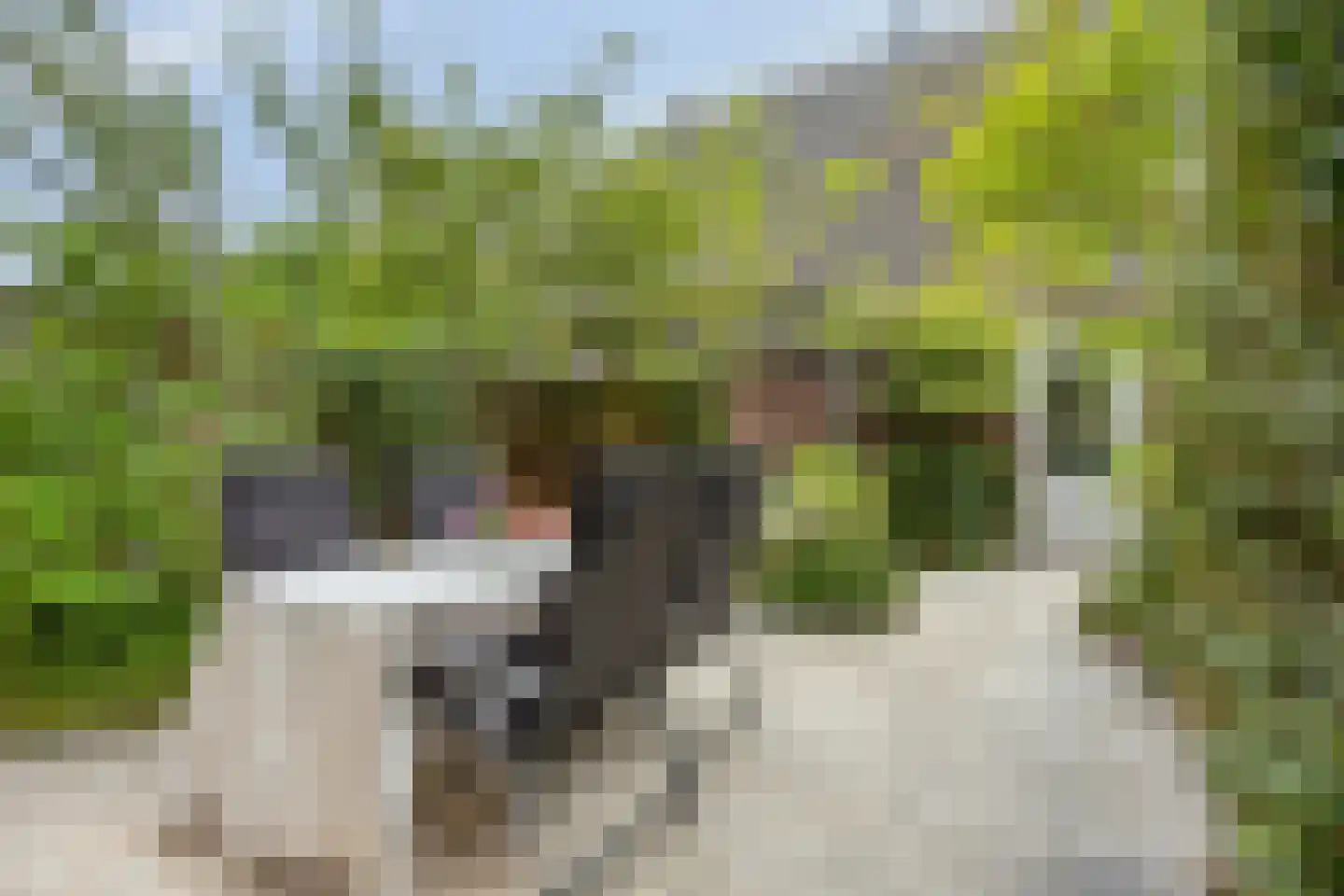 Uitdamstraat 35 Amersfoort thumbnail 36