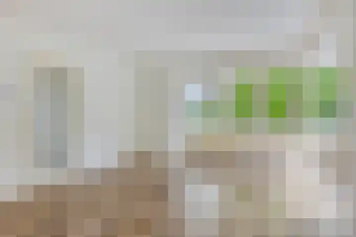 Uiteinderweg 7 C Holwierde thumbnail 16