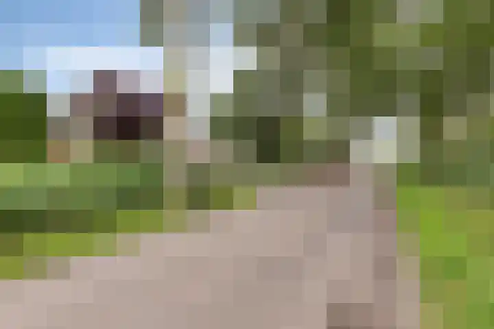 Uiteinderweg 7 C Holwierde thumbnail 7