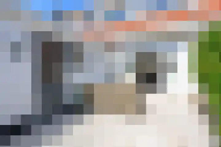 Uitenboschstraat 10 Alkmaar thumbnail 10
