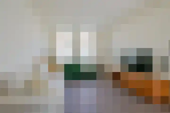 Uitenboschstraat 10 Alkmaar thumbnail 17