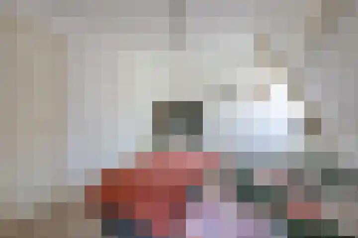 Uitenboschstraat 10 Alkmaar thumbnail 21