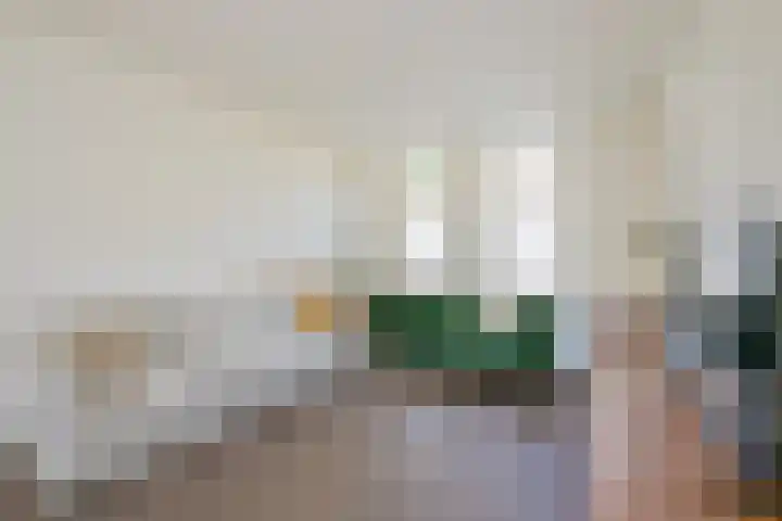 Uitenboschstraat 10 Alkmaar thumbnail 5