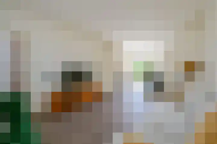 Uitenboschstraat 10 Alkmaar thumbnail 6