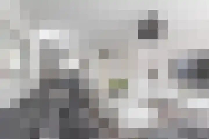 Uitenboschstraat 16 Alkmaar thumbnail 10