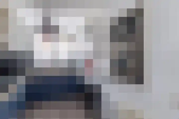 Uitenboschstraat 16 Alkmaar thumbnail 13