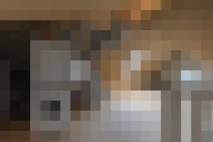 Uitenboschstraat 16 Alkmaar thumbnail 27