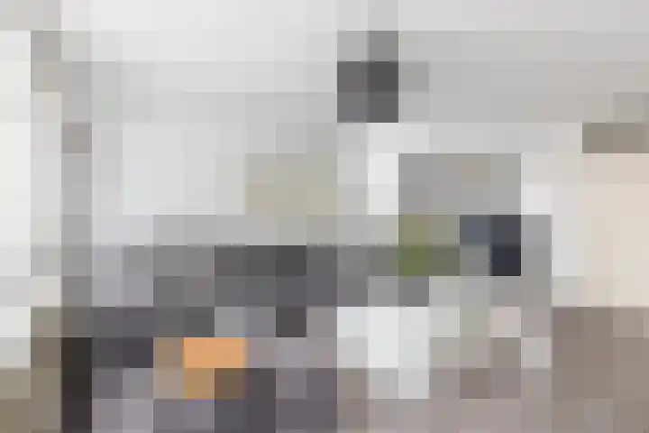 Uitenboschstraat 16 Alkmaar thumbnail 9