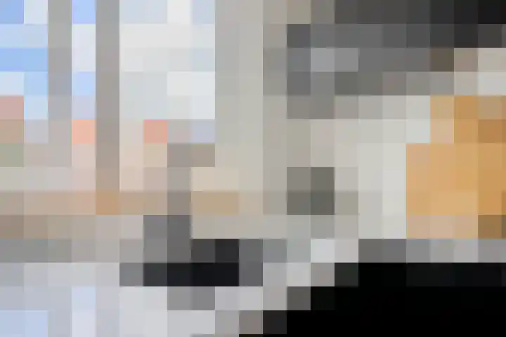 Uitenboschstraat 30 Alkmaar thumbnail 15