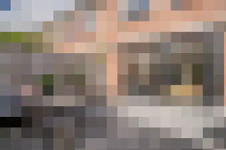 Uitenboschstraat 30 Alkmaar thumbnail 33