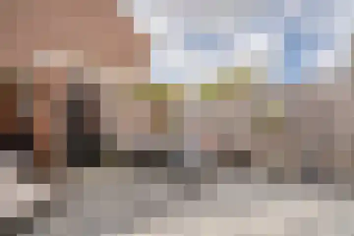 Uitenboschstraat 30 Alkmaar thumbnail 34