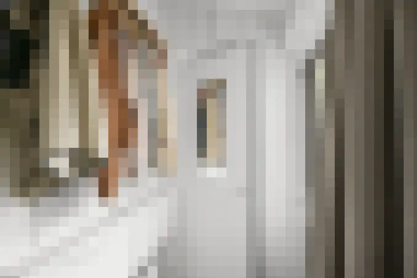 Uitenboschstraat 4 Alkmaar thumbnail 12