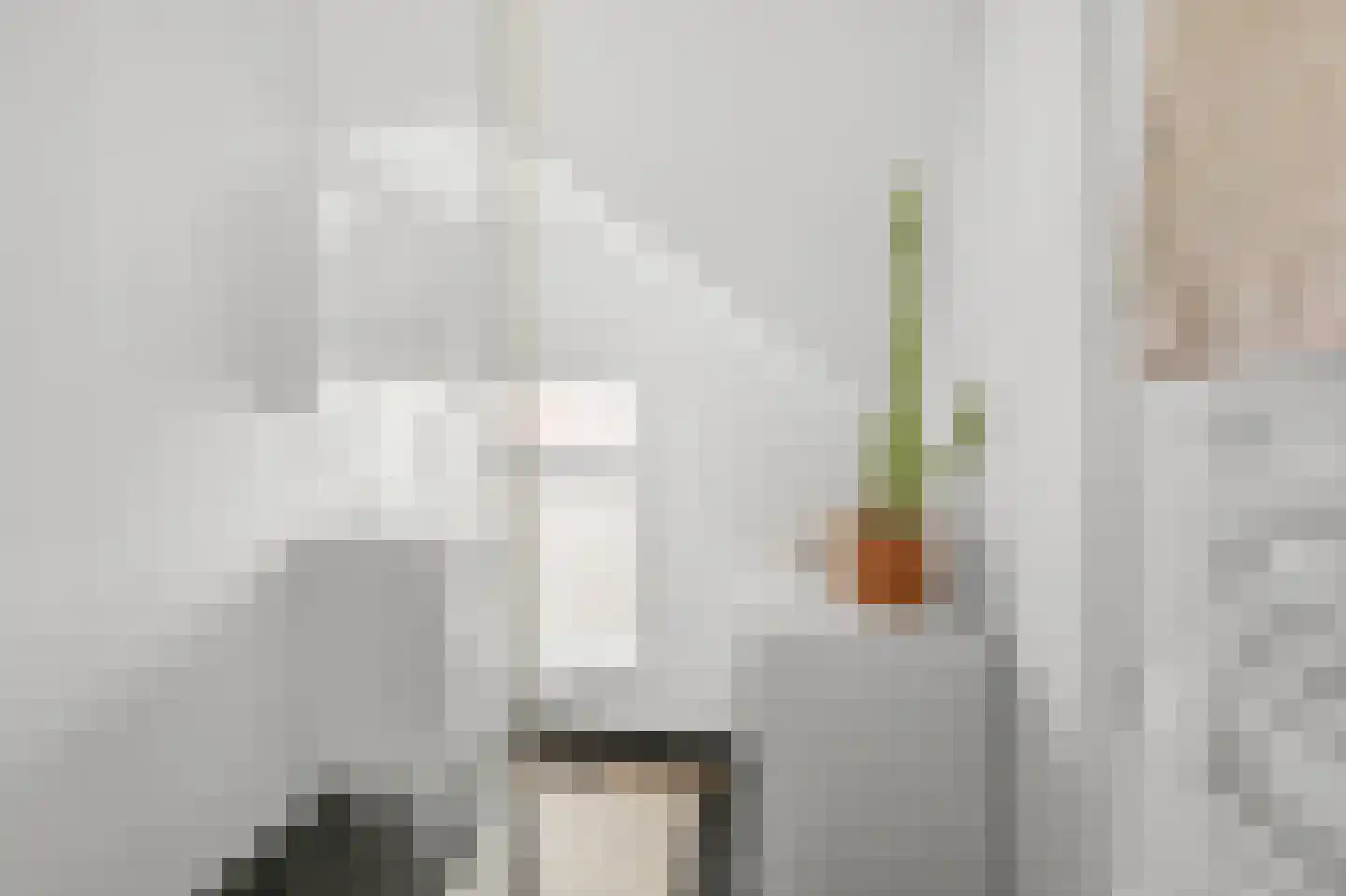 Uitenboschstraat 4 Alkmaar thumbnail 20