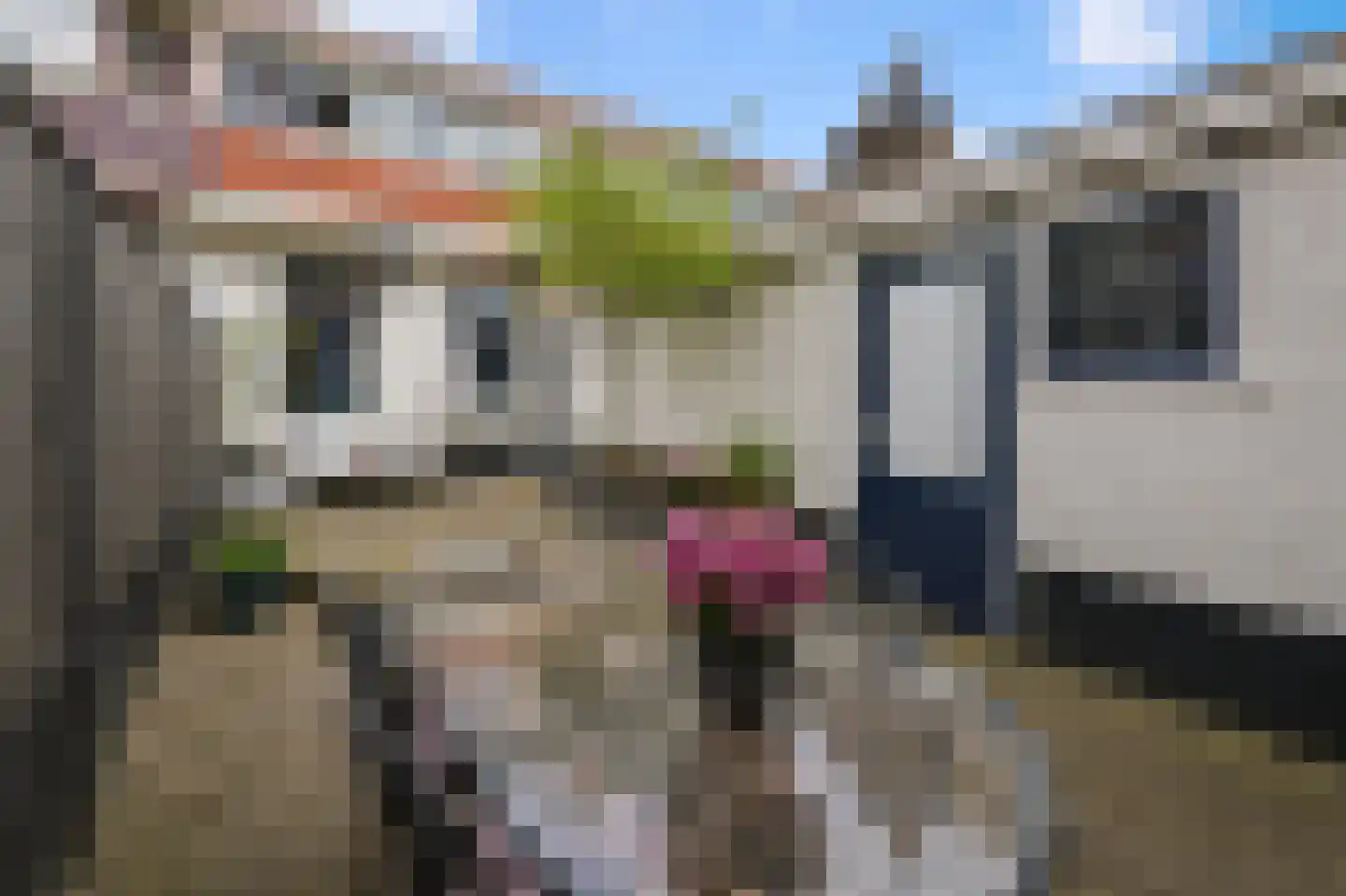 Uitenboschstraat 4 Alkmaar thumbnail 30