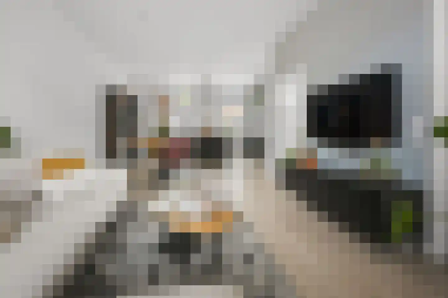 Uitenboschstraat 4 Alkmaar thumbnail 4