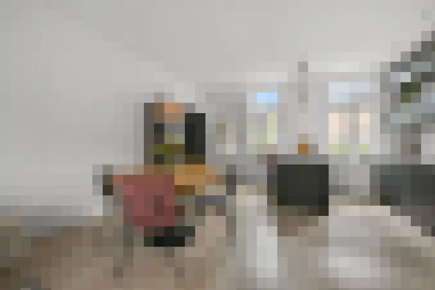 Uitenboschstraat 4 Alkmaar thumbnail 8