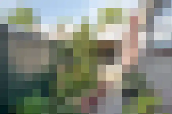 Uitenhage de Miststraat 25 Kampen thumbnail 31