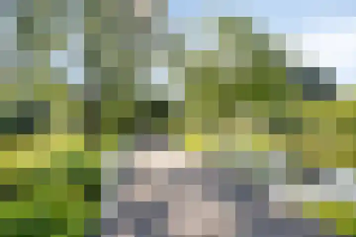 Uitenhage de Miststraat 25 Kampen thumbnail 35