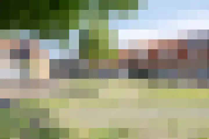 Uitenhage de Miststraat 25 Kampen thumbnail 38