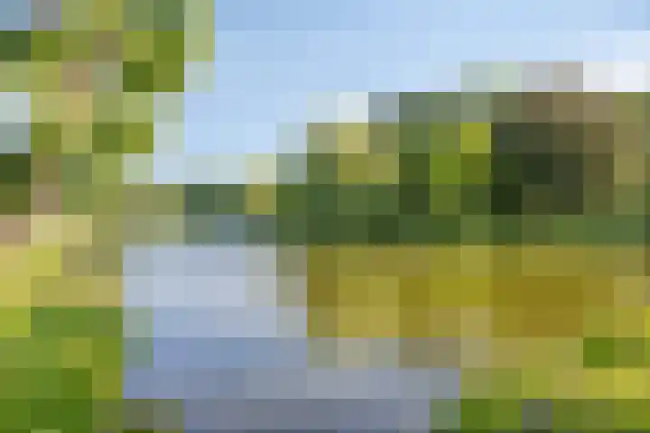 Uitenhage de Miststraat 25 Kampen thumbnail 39