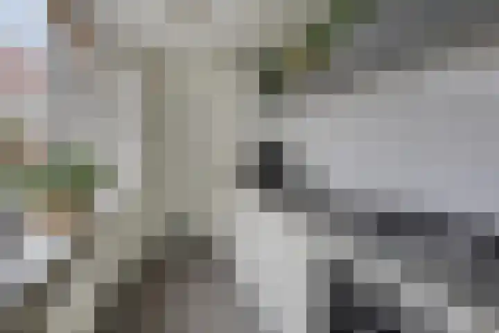 Uitenhage de Miststraat 37 Kampen thumbnail 10