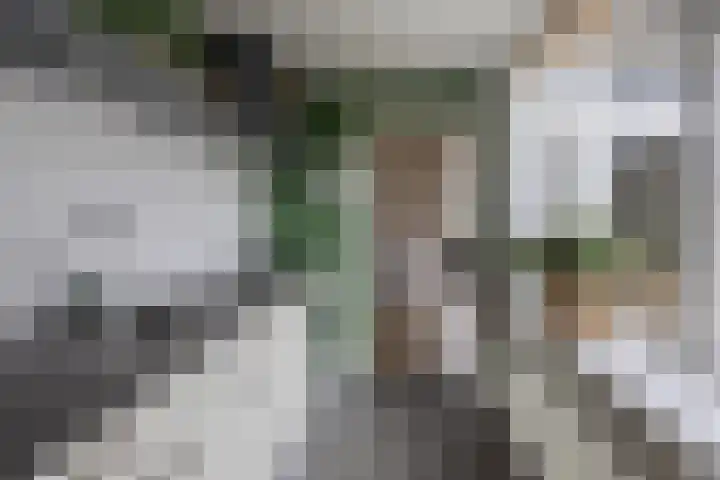 Uitenhage de Miststraat 37 Kampen thumbnail 12
