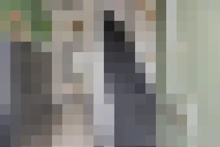 Uitenhage de Miststraat 37 Kampen thumbnail 17
