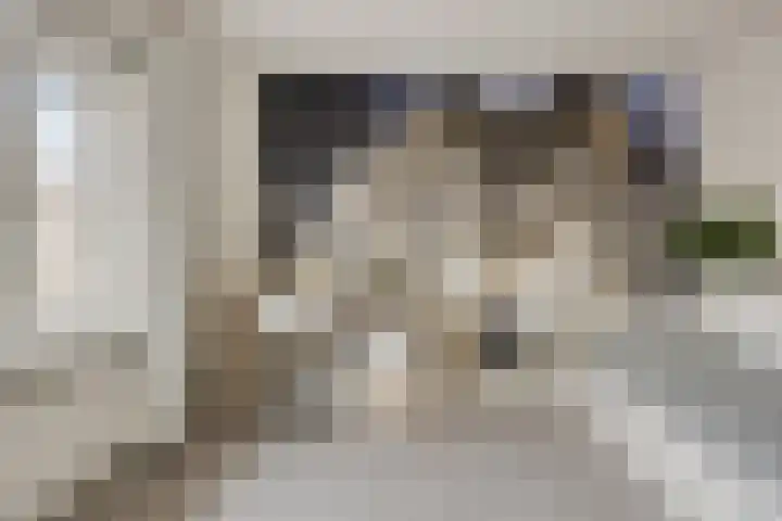 Uitenhage de Miststraat 37 Kampen thumbnail 18