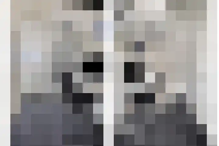 Uitenhage de Miststraat 37 Kampen thumbnail 23