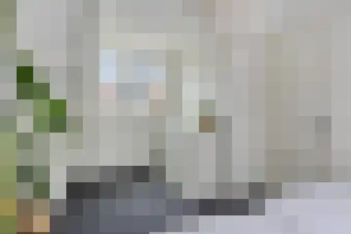 Uitenhage de Miststraat 37 Kampen thumbnail 24