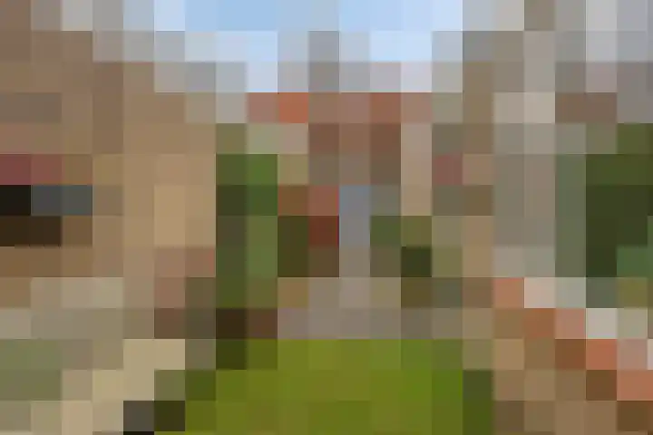 Uitenhage de Miststraat 37 Kampen thumbnail 26