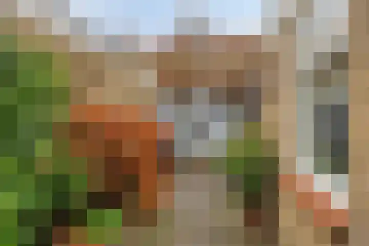 Uitenhage de Miststraat 37 Kampen thumbnail 27