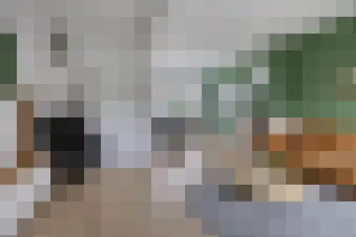 Uitenhage de Miststraat 37 Kampen thumbnail 6