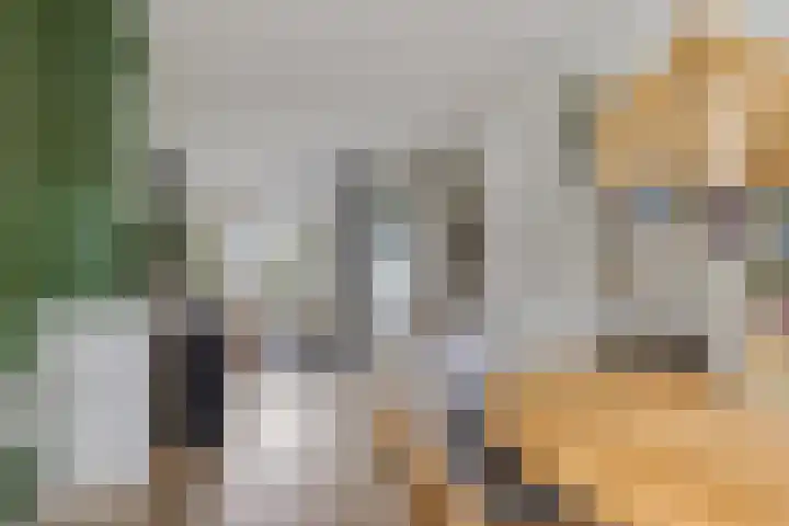 Uitenhage de Miststraat 37 Kampen thumbnail 9