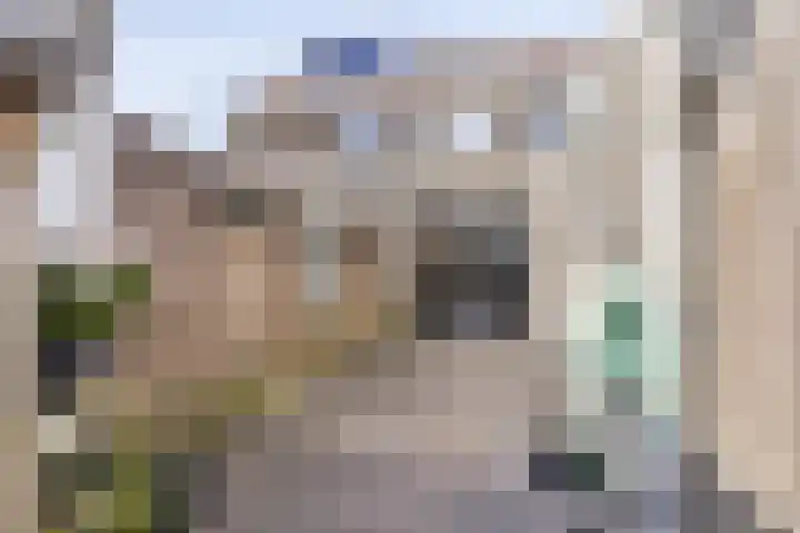Uitenhage de Miststraat 48 Kampen thumbnail 23