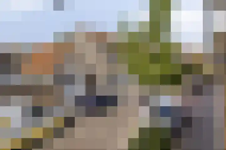 Uitenhage de Miststraat 48 Kampen thumbnail 25