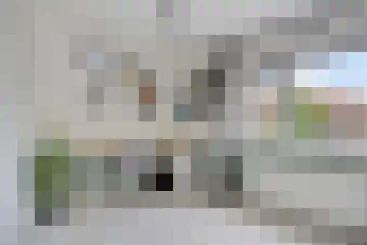 Uitenhage de Miststraat 8 Kampen thumbnail 25