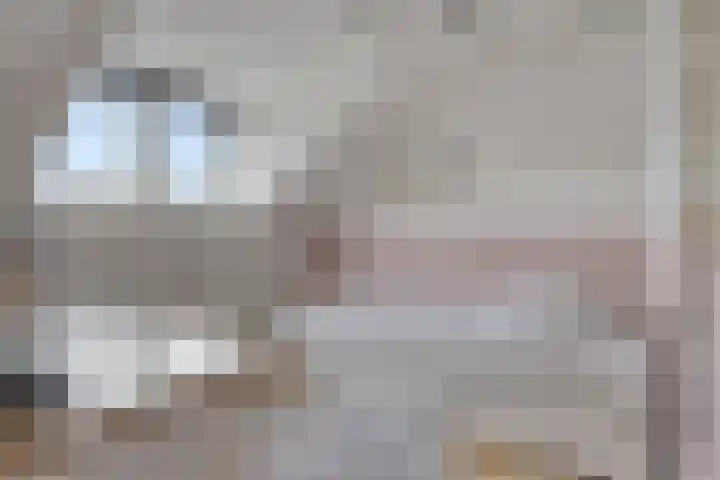 Uitenhage de Miststraat 8 Kampen thumbnail 27