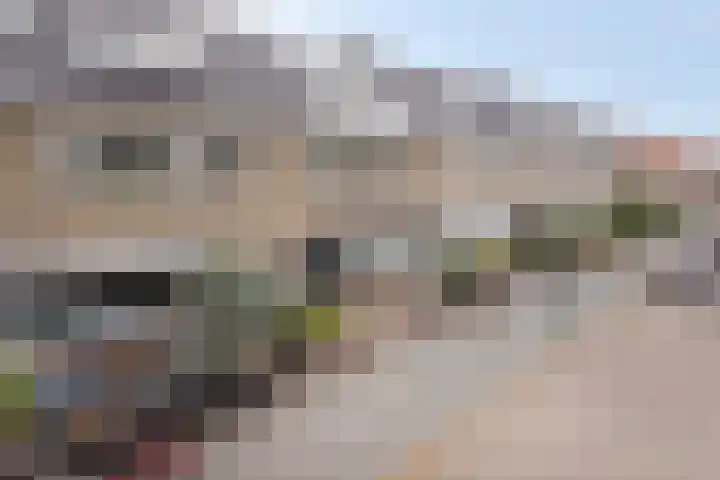 Uitenhage de Miststraat 8 Kampen thumbnail 32