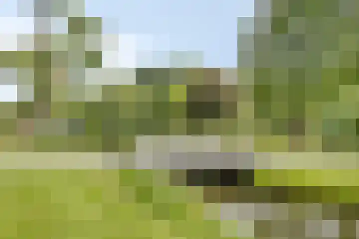 Uitenhage de Miststraat 8 Kampen thumbnail 35