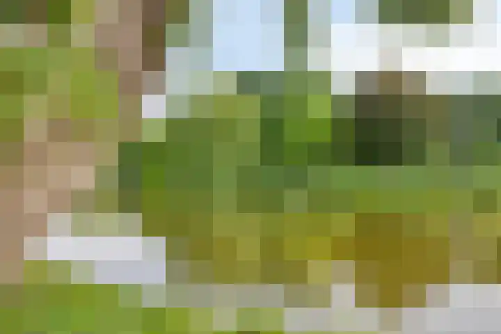 Uitenhage de Miststraat 8 Kampen thumbnail 36