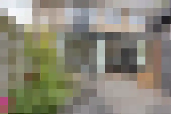 Uitenhage de Miststraat 8 Kampen thumbnail 5