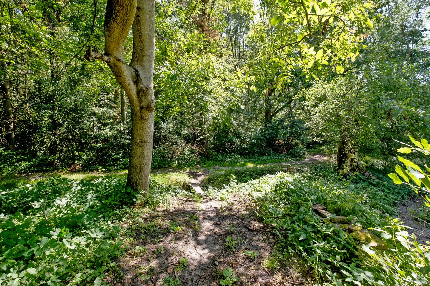 Uiterburen 36 Zuidbroek thumbnail 44