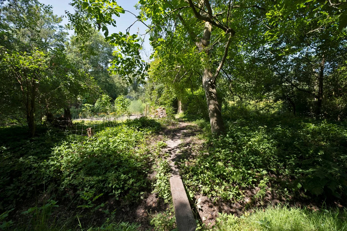 Uiterburen 36 Zuidbroek thumbnail 45